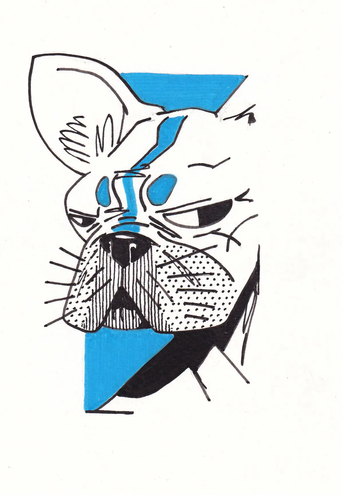 faces-2024-58-Fito